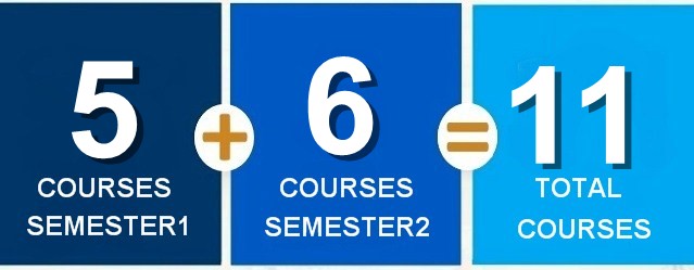 First Year Courses Structure