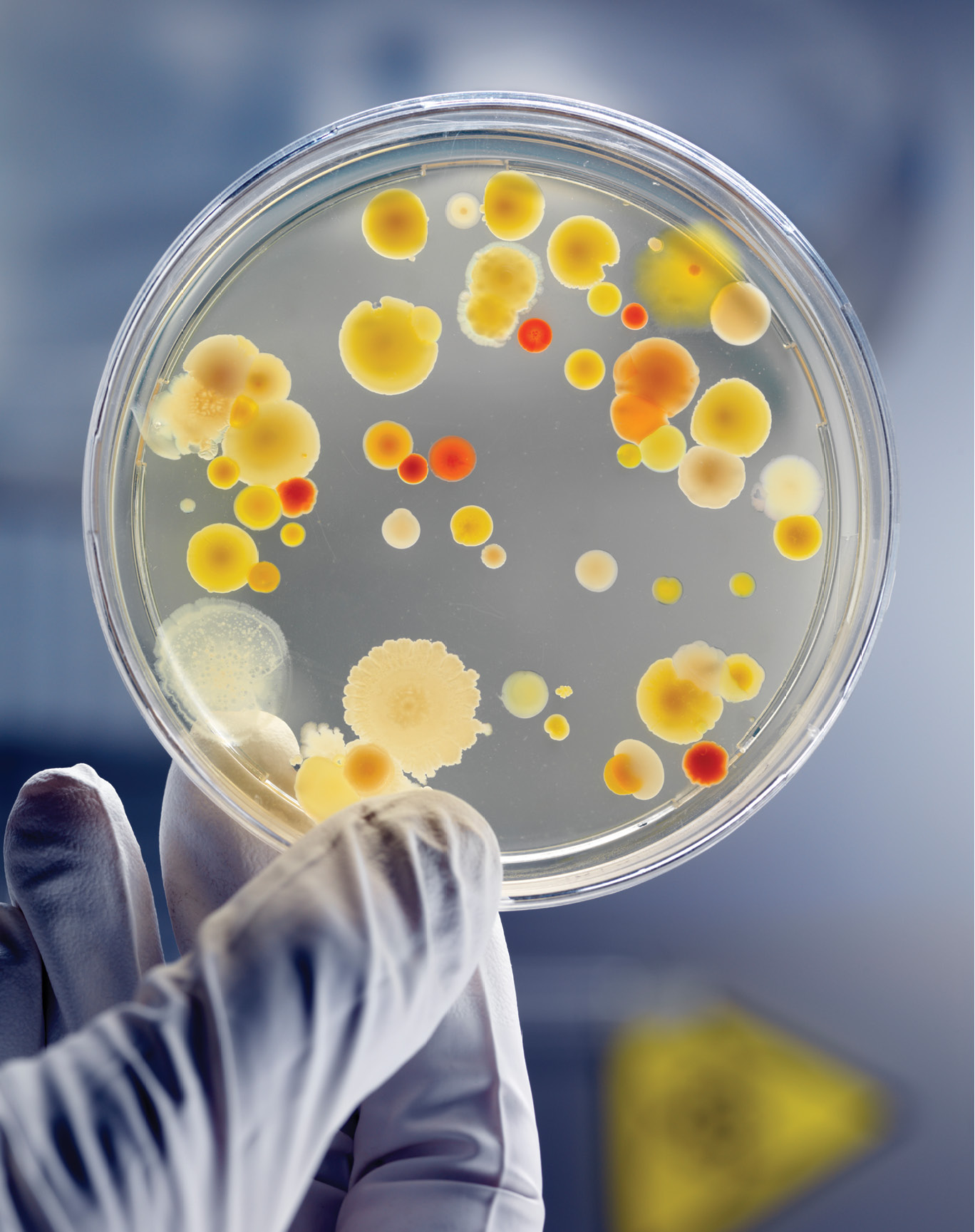 Master degree in Microbiology Technologies Tec.Kirkuk