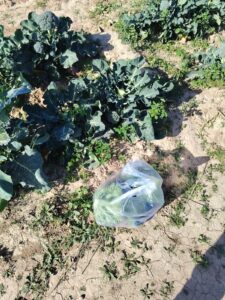 WhatsApp Image at () WhatsApp Image at ()