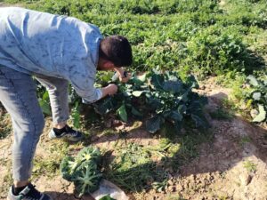 WhatsApp Image at () Copy WhatsApp Image at () Copy