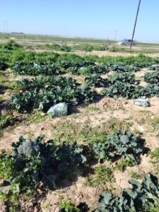 WhatsApp Image at () WhatsApp Image at ()