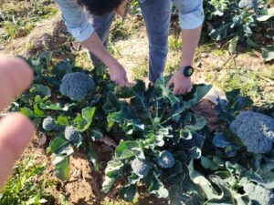 WhatsApp Image at WhatsApp Image at